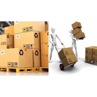 Sử dụng kết quả phân loại hàng hóa xuất khẩu như thế nào?