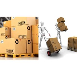 Sử dụng kết quả phân loại hàng hóa xuất khẩu như thế nào?