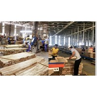 Mức xử phạt doanh nghiệp xuất khẩu gỗ quý hiếm ra nước ngoài