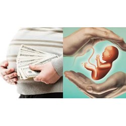 Quy định mang thai hộ vì tiền như thế nào? Có bị cấm?