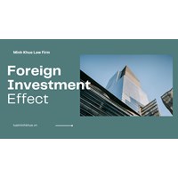Foreign Investment's Effects on Vietnamese Businesses