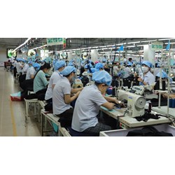 Mục tiêu đến năm 2025, 45% lao động trong độ tuổi tham gia BHXH