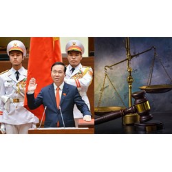 Quyết định của Chủ tịch nước được ban hành căn cứ vào đâu?