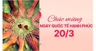 Chủ đề ngày Quốc tế Hạnh phúc năm 2024 như thế nào?