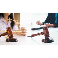 Các hoạt động xem xét vật chứng trong thủ tục xét xử phúc thẩm án hành chính