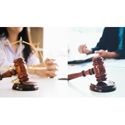 Các hoạt động xem xét vật chứng trong thủ tục xét xử phúc thẩm án hành chính