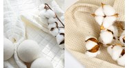 Hiệp hội Bông vải Việt Nam có tài khoản riêng hay không?