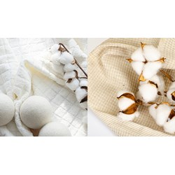 Hiệp hội Bông vải Việt Nam có tài khoản riêng hay không?