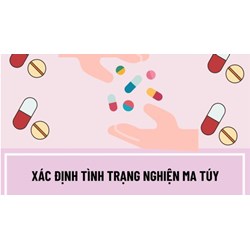 Trường hợp nào thực hiện việc xác định tình trạng nghiện ma túy?