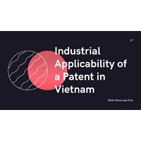 What is the Industrial Applicability of a Patent in Viet Nam