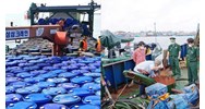 Có phạt tù khi buôn lậu xăng dầu thu lợi bất chính trên 500 triệu?