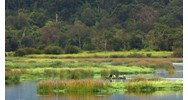 Hệ thống phân loại đất ngập nước ở Việt Nam bao gồm bao nhiêu kiểu?