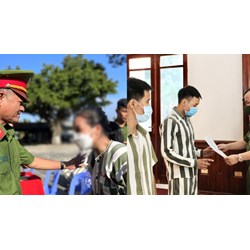 Có được hoãn chấp hành án phạt tù khi vợ bị bệnh hiểm nghèo?