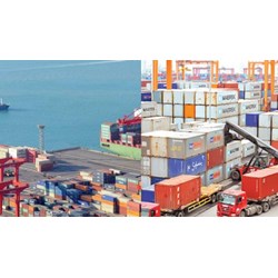 Quy định về giấy chứng nhận xuất xứ hàng hóa mẫu E giáp lưng