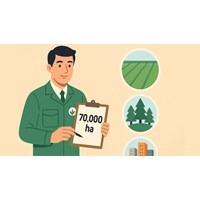 Chỉ tiêu sử dụng đất là gì? Tiêu chí phân bổ chỉ tiêu sử dụng đất như thế nào?