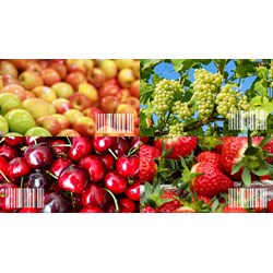 Đăng ký mã số mã vạch tại Nghệ An uy tín, chuyên nghiệp 2024