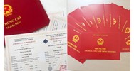 Ngưng tất cả kỳ thi, khảo sát chứng chỉ ngoại ngữ và tin học tại TP.HCM