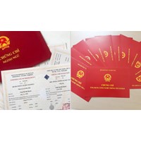 Ngưng tất cả kỳ thi, khảo sát chứng chỉ ngoại ngữ và tin học tại TP.HCM