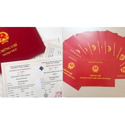 Ngưng tất cả kỳ thi, khảo sát chứng chỉ ngoại ngữ và tin học tại TP.HCM