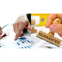 Thỏa thuận cấp bảo lãnh có bắt buộc lập bằng tiếng Việt hay không?