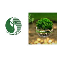 Quy trình cấp Giấy chứng nhận nhãn sinh thái Việt Nam năm 2024?