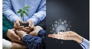 Nhiệm vụ và quyền hạn của Sở Tài nguyên và Môi trường
