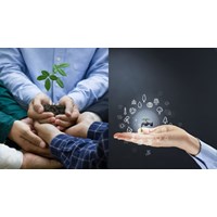 Nhiệm vụ và quyền hạn của Sở Tài nguyên và Môi trường