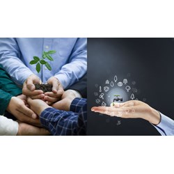 Nhiệm vụ và quyền hạn của Sở Tài nguyên và Môi trường