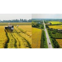 Người không cư trú tại địa phương có được mua đất nông nghiệp?