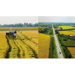 Người không cư trú tại địa phương có được mua đất nông nghiệp?
