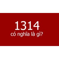 1314 có nghĩa gì? Giải mã ý nghĩa số đặc biệt trong tình yêu 1314