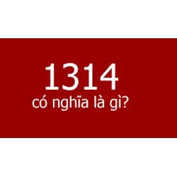 1314 có nghĩa gì? Giải mã ý nghĩa số đặc biệt trong tình yêu 1314