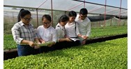 Sửa đổi tiêu chuẩn chức danh về bảo vệ viên bảo vệ thực vật