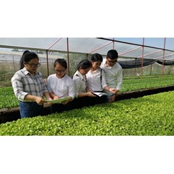 Sửa đổi tiêu chuẩn chức danh về bảo vệ viên bảo vệ thực vật
