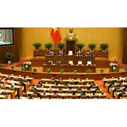 Chủ tịch nước phải có năng lực nổi trội ở những lĩnh vực nào?