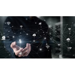 Quy về website để kinh doanh trên thương mại điện tử
