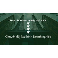 Quy định tái cơ cấu doanh nghiệp nhà nước để chuyển đổi loại hình
