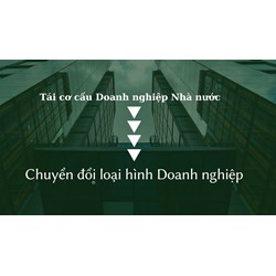 Quy định tái cơ cấu doanh nghiệp nhà nước để chuyển đổi loại hình