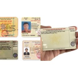 Mặt trước, mặt sau của bằng lái xe có những thông tin gì?