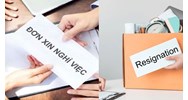 Đơn xin thôi việc được duyệt thì sau đó các bên có trách nhiệm gì?