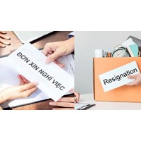 Đơn xin thôi việc được duyệt thì sau đó các bên có trách nhiệm gì?