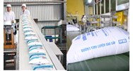 Sản xuất đường có mã ngành kinh tế bao nhiêu theo quy định hiện nay?