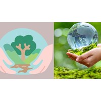 Có thể cấp giấy phép môi trường cho từng giai đoạn, công trình không?