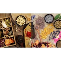 Tiêu chuẩn chế biến vị thuốc cổ truyền theo phương pháp cổ truyền