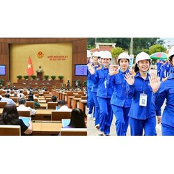 Rà soát và đề xuất sửa đổi Luật An toàn, vệ sinh lao động