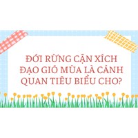 Đới rừng cận xích đạo gió mùa là cảnh quan tiêu biểu cho?