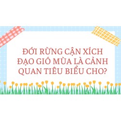 Đới rừng cận xích đạo gió mùa là cảnh quan tiêu biểu cho?