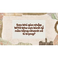Sau khi gia nhập WTO khu vực kinh tế nào tăng nhanh về tỉ trọng?