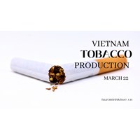 Vietnam Tobacco Production: Regulations & Licenses