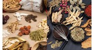 Những tiêu chuẩn phải đáp ứng khi bào chế thuốc cổ truyền?